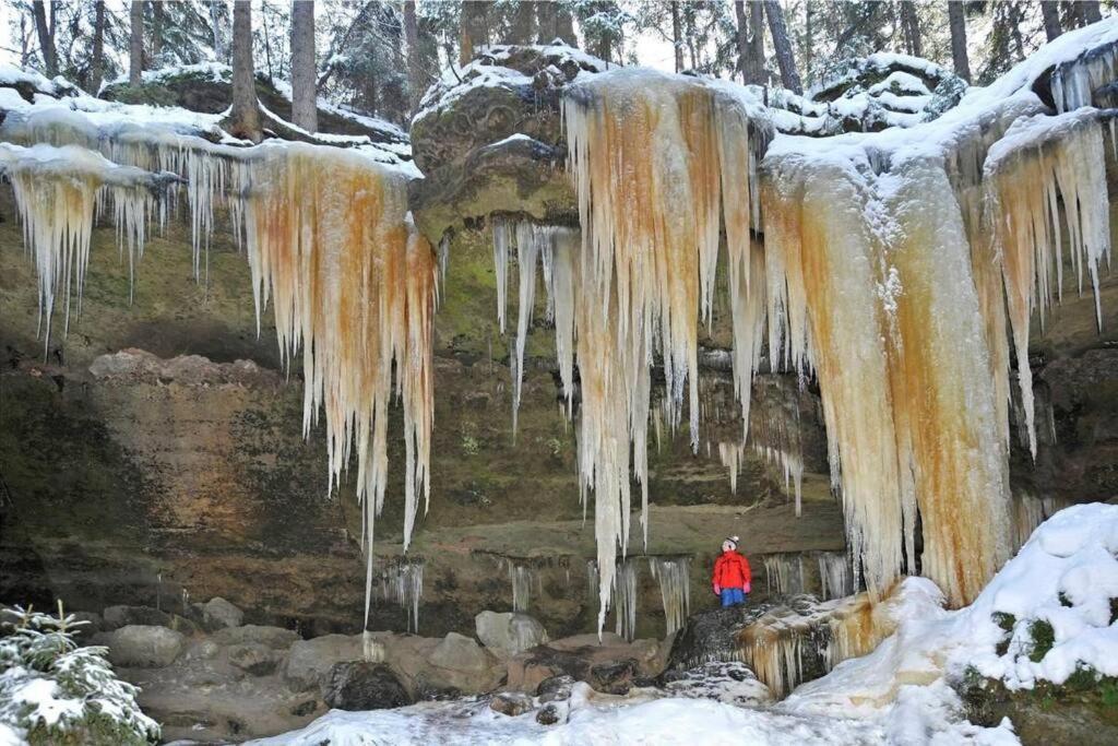 Brana Do Ceskeho Svycarska - Raj Cyklostezek Stare Krecany Dış mekan fotoğraf
